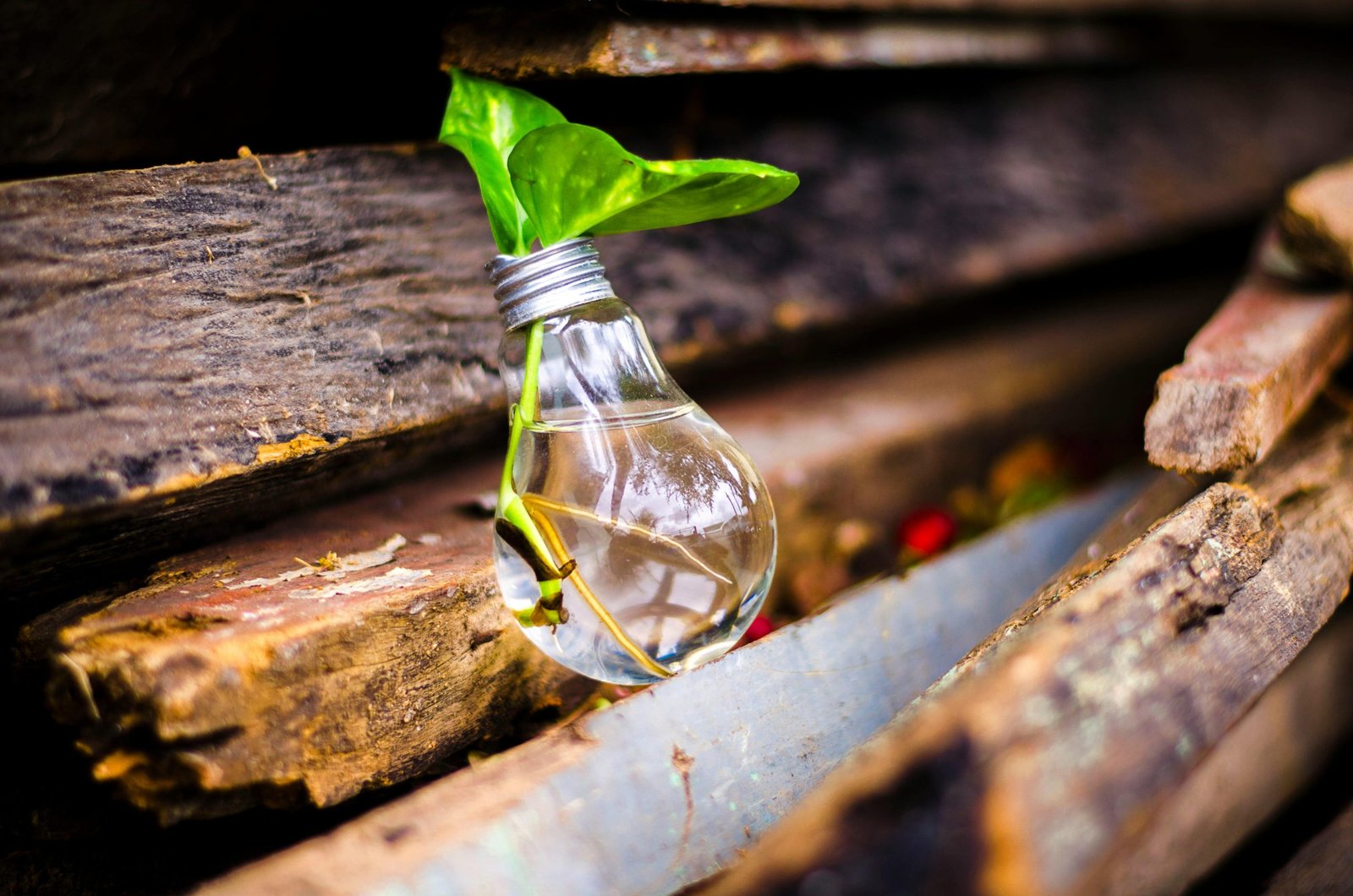 5 Desafíos y Potencialidades de Emprender en Bolivia